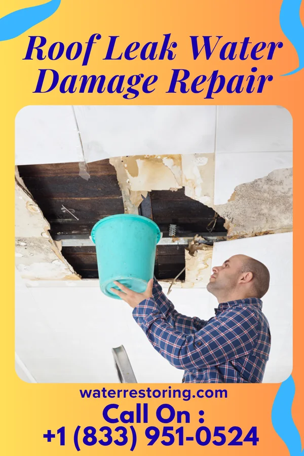 Roof Leak Water Damage Repair in DeBary, FL